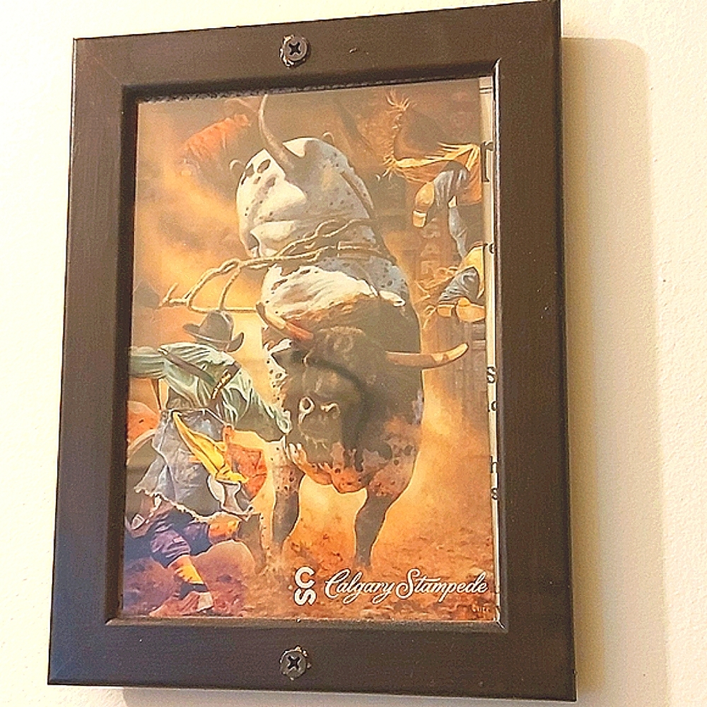 5 for $25- Calgary Stampede Postcard in Black Frame